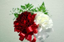 WD0020 - Wedding Corsages